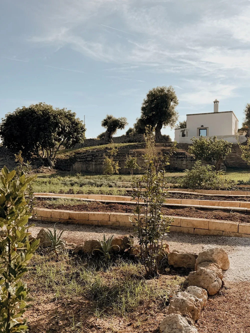 masseria calderisi22.webp