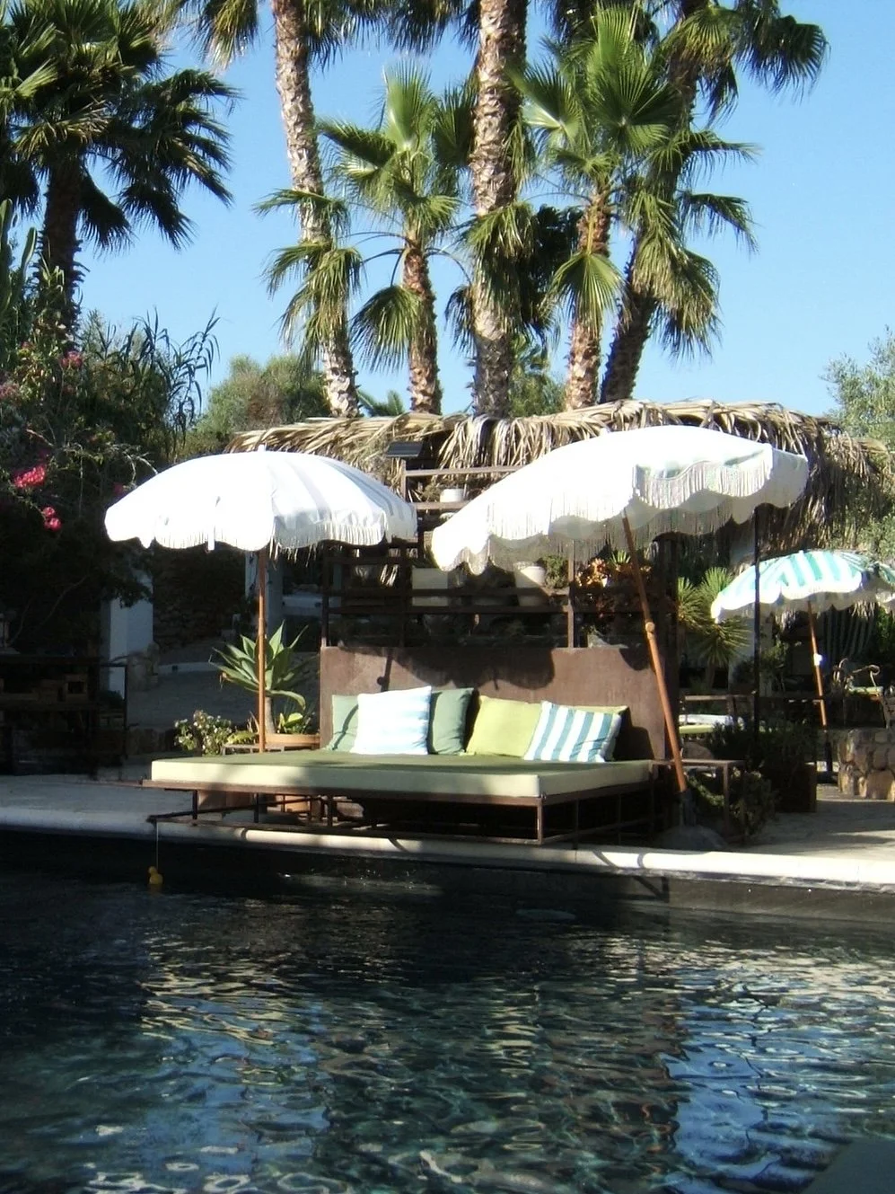 finca legado8.jpg