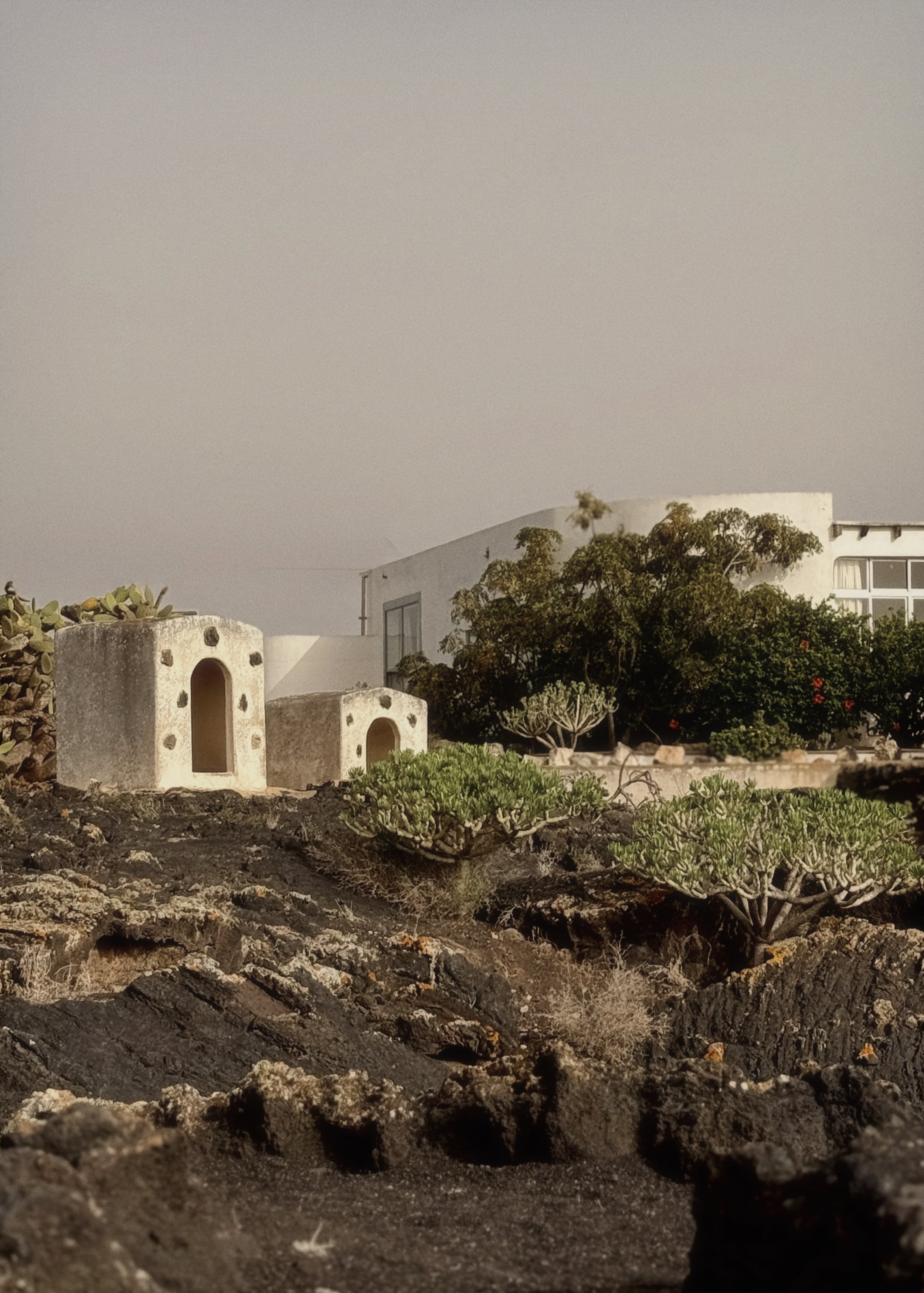 lanzarote9.jpeg