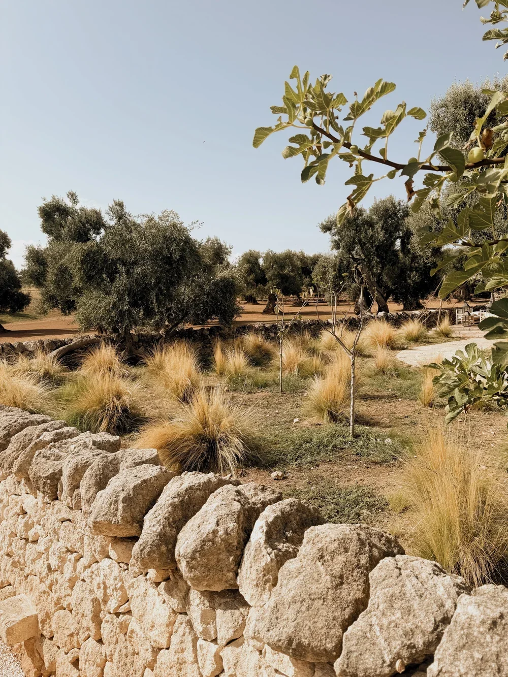 masseria calderisi28.webp