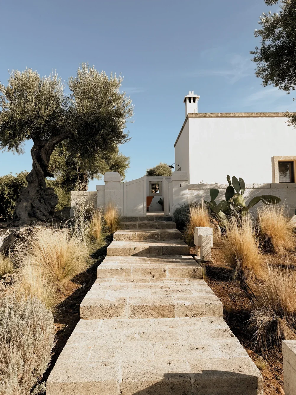 masseria calderisi17.webp