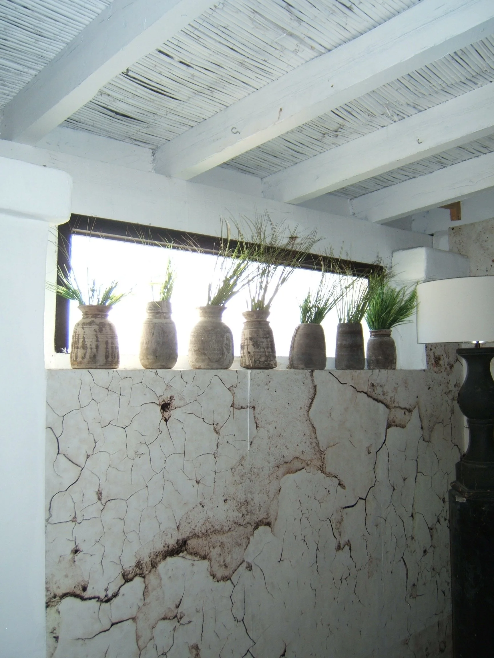 finca legado4.jpg