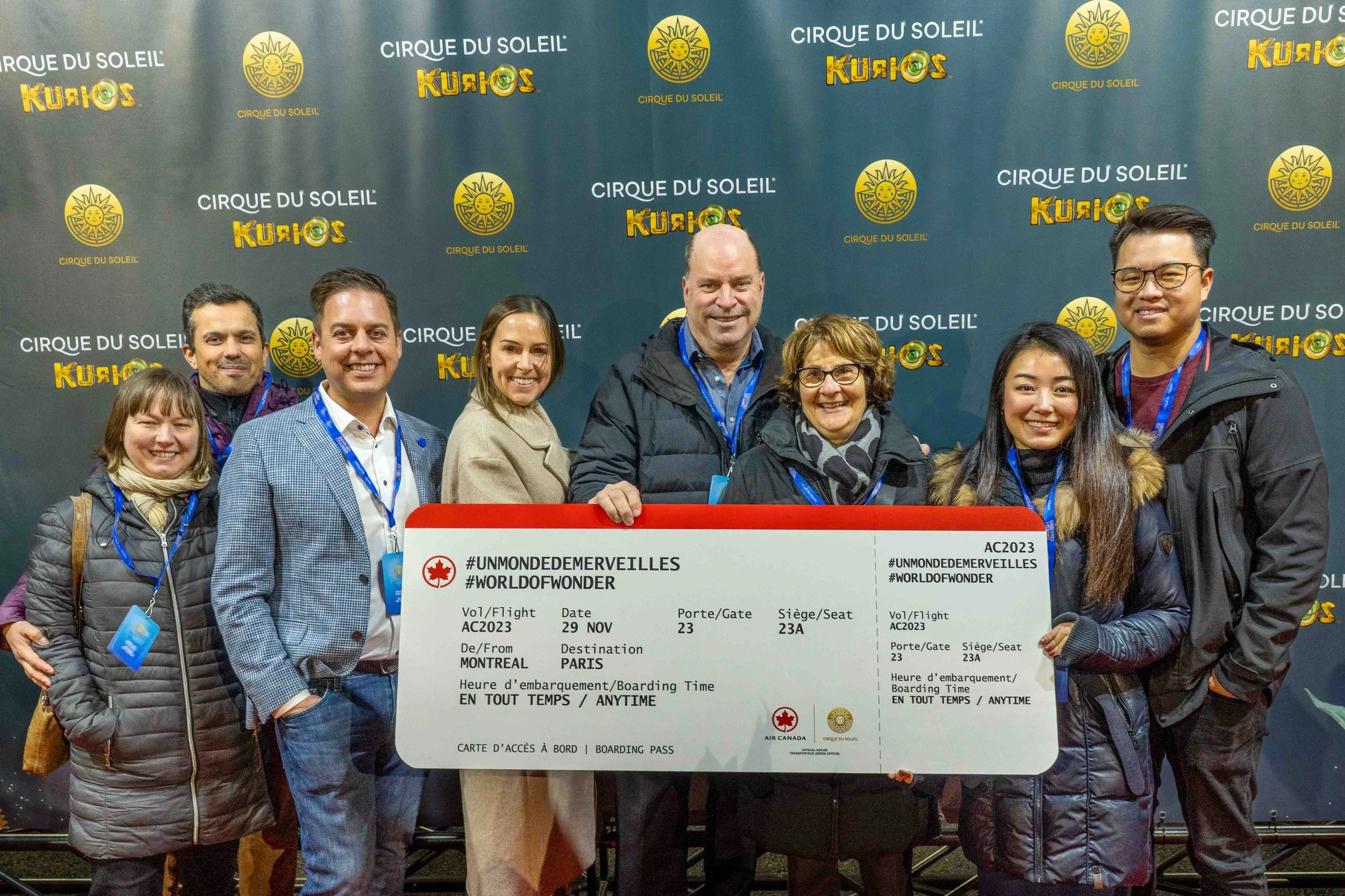 Field of white daisies with yellow centers in warm sunlight.