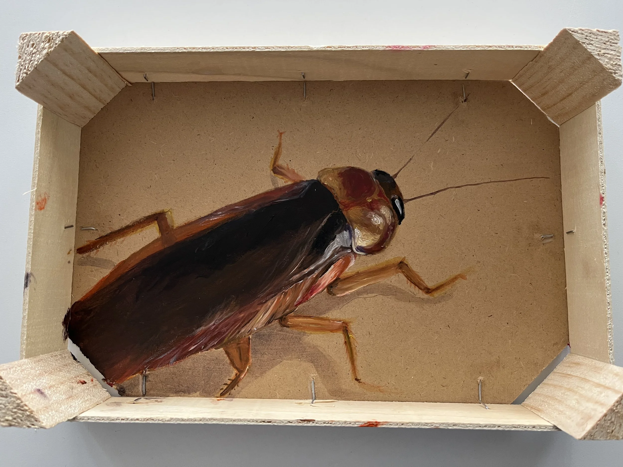 La cucaracha - oil on wood