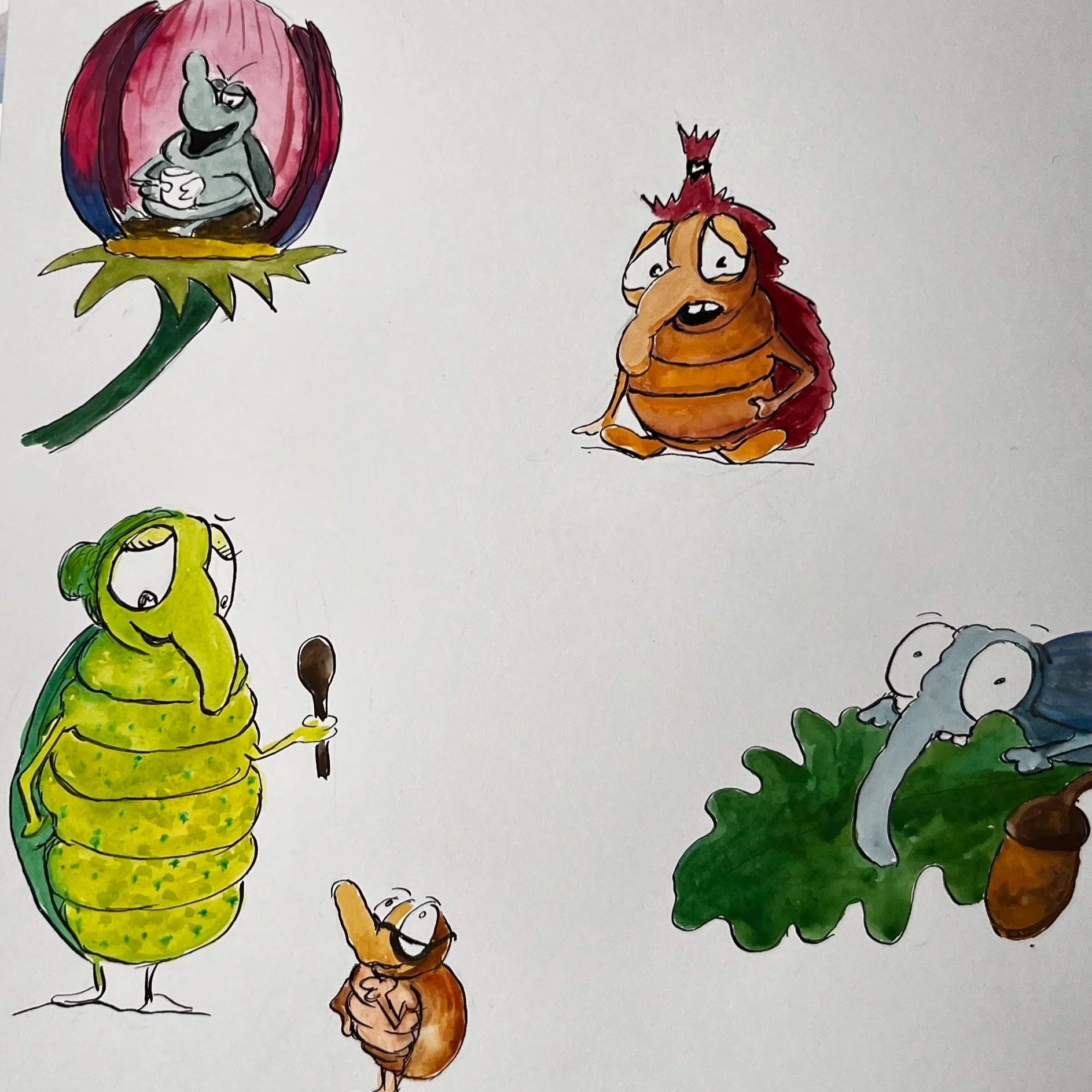 Weevils of the world / watercolour / book project