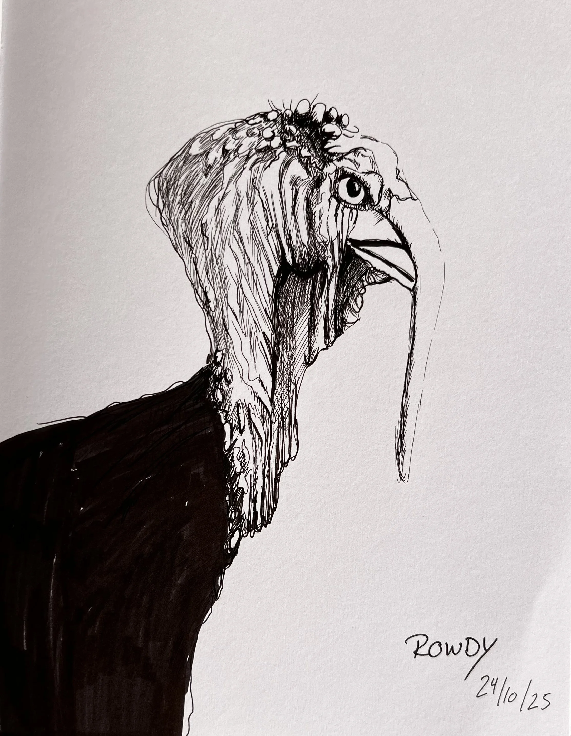 Skizze eines Vogels, vermutlich ein Truthahn, mit detailliert gezeichnetem Kopf und Schnabel, signiert mit 'Rowdy' und datiert '24/10/25'.