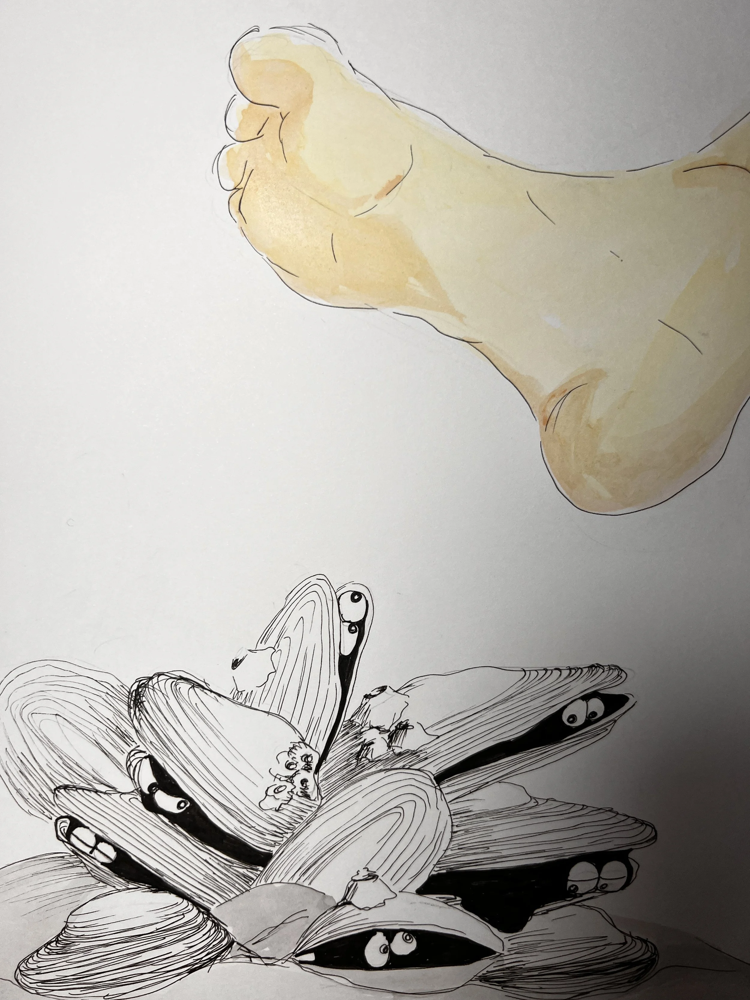 Mies - a silent underwater book project