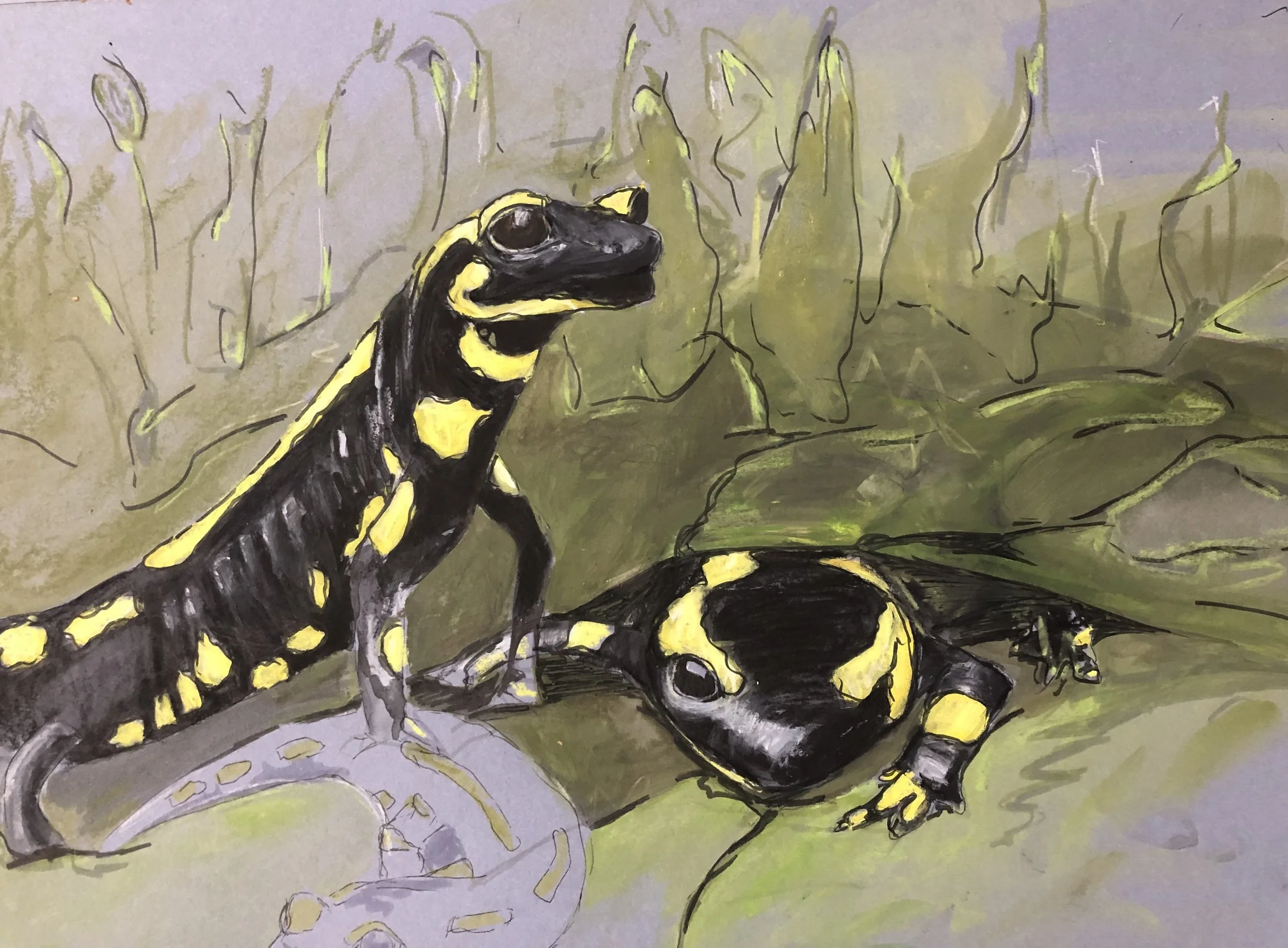 Mixed media drawing/Salamander