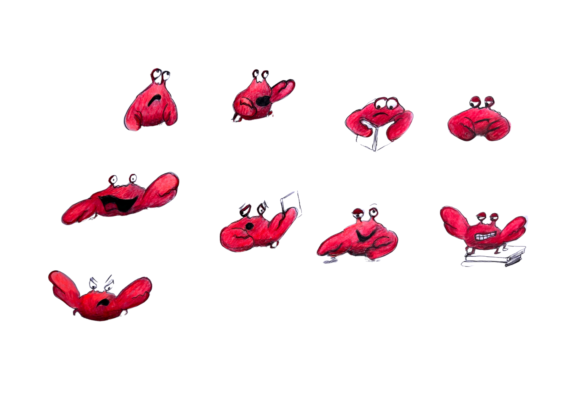 KALLE, THE RED ROCK CRAB - CHARCTER STUDY 