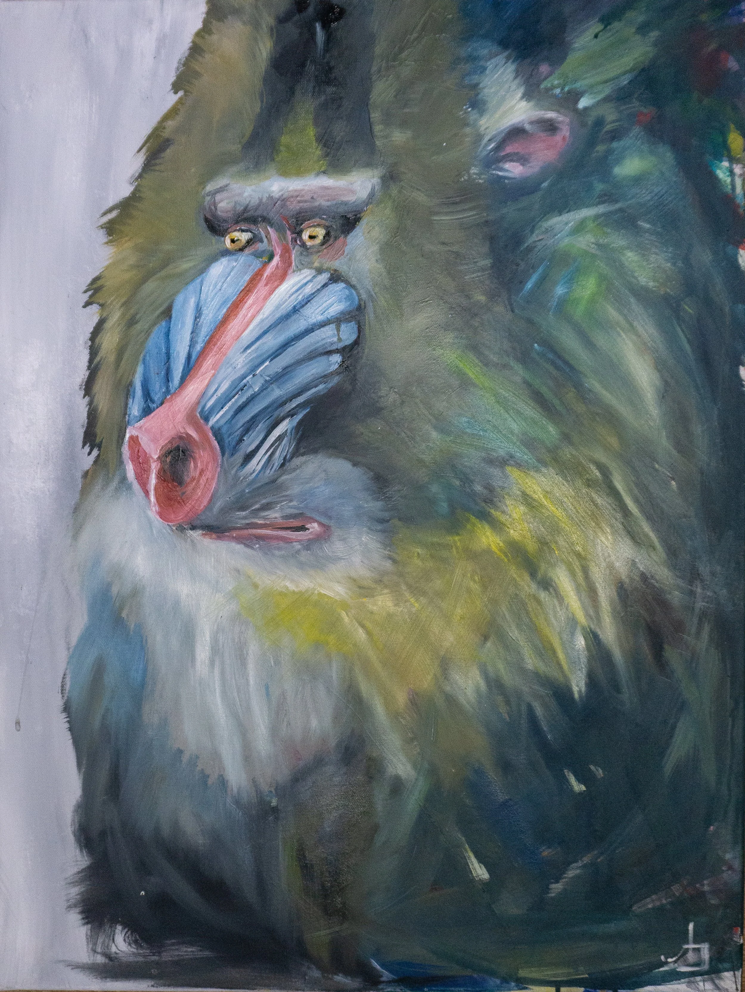 Mandrills/Oil on Canvas