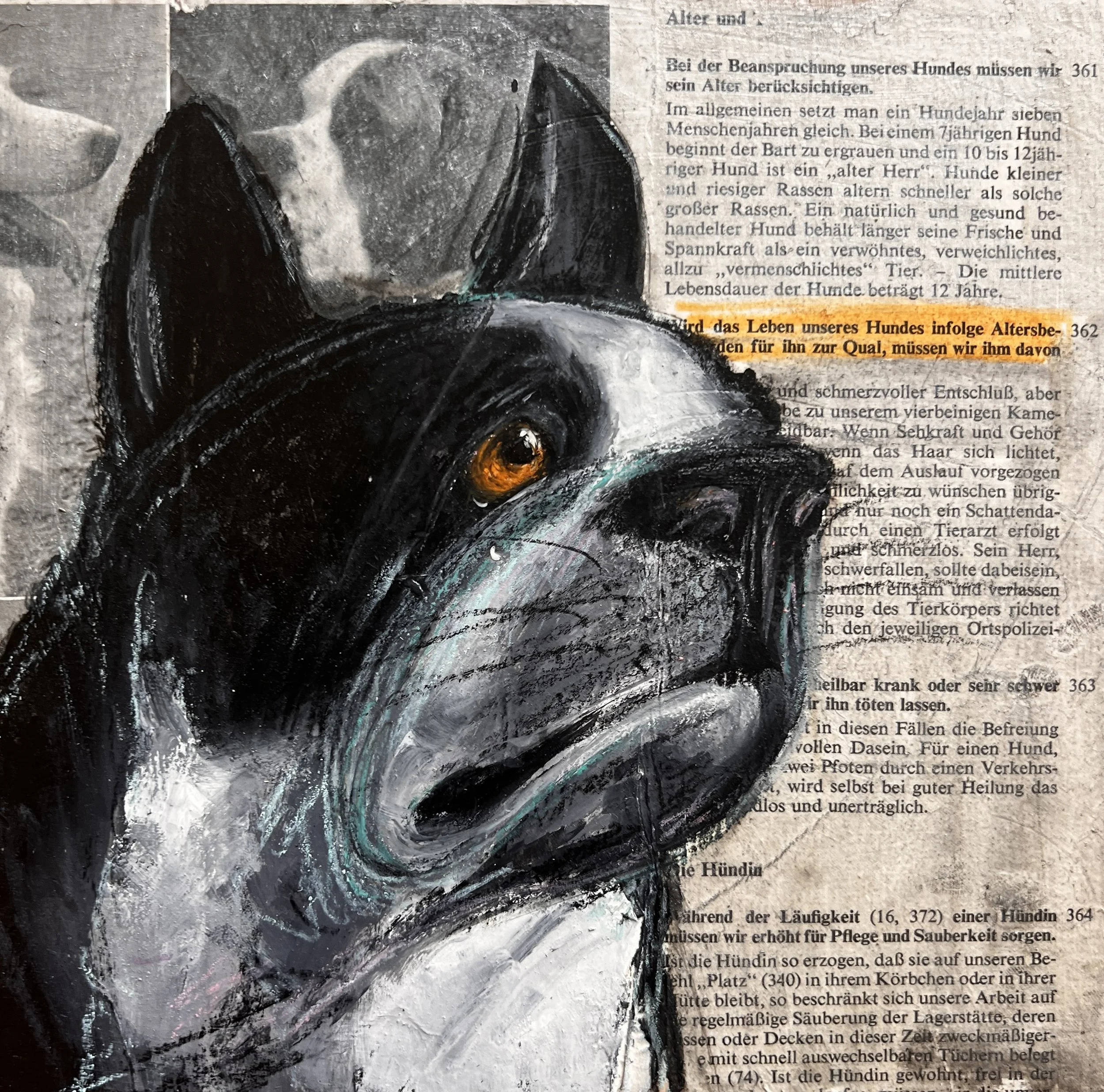 Good Dog 4 - the old dog / mixed media on wood panel (newspaper-mounted) / 20x20cm / 2026