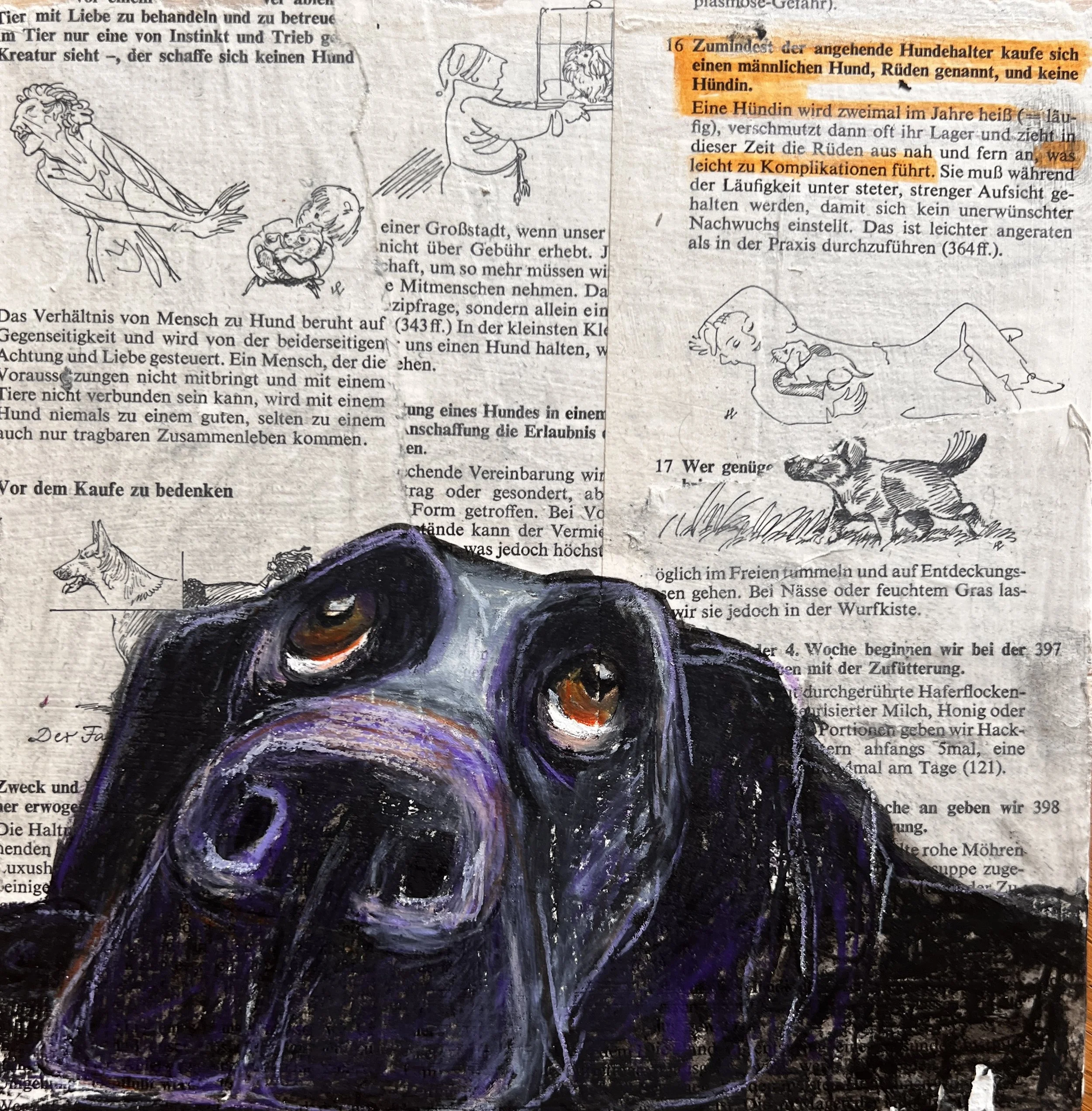 Good Dog 5 - always pick a male dog / mixed media on wood panel (newspaper-mounted) / 20x20cm / 2026