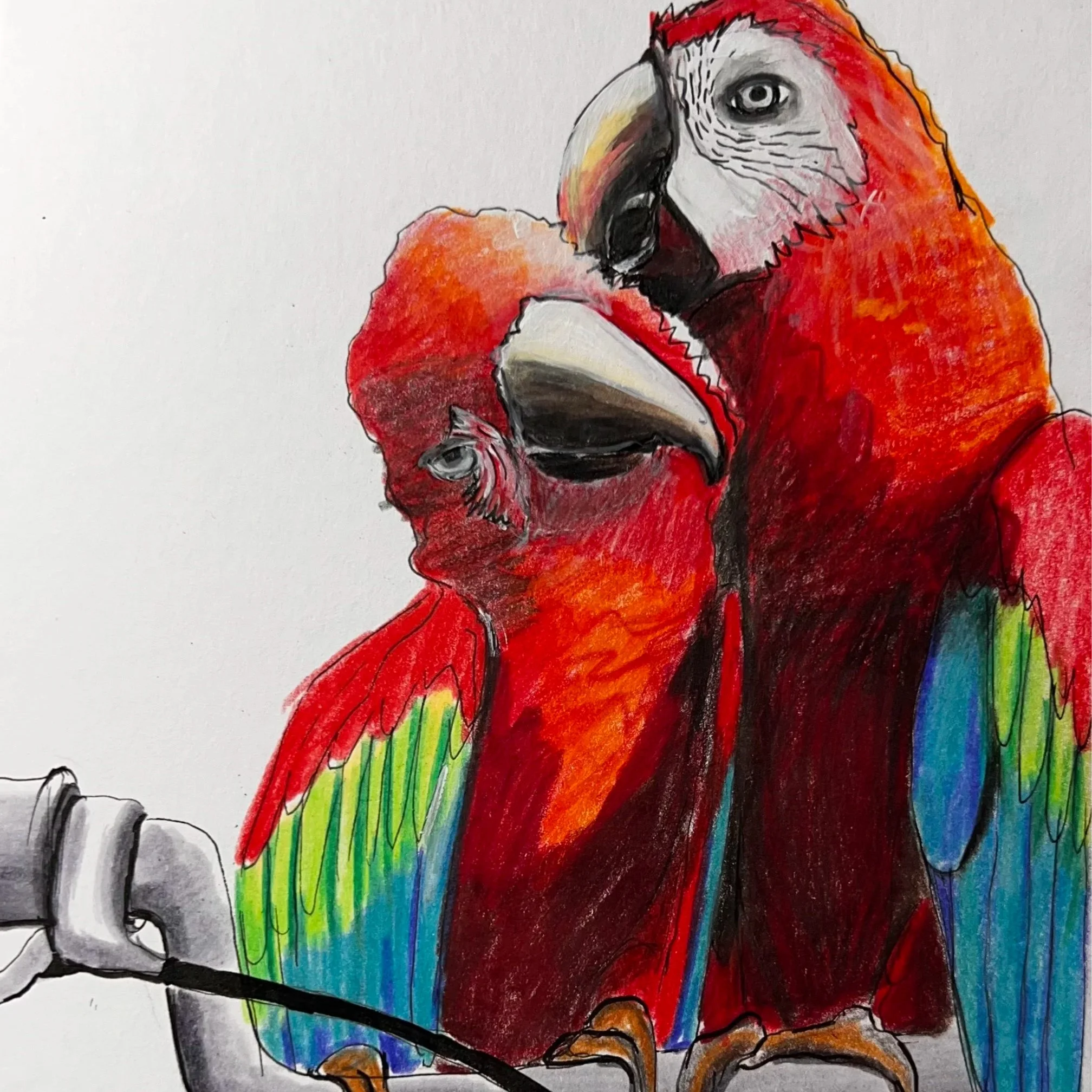 Künstlerische Darstellung zweier bunter Papageien, einer auf der Schulter eines Menschen, mit lebhaften Farben und detaillierten Federn.