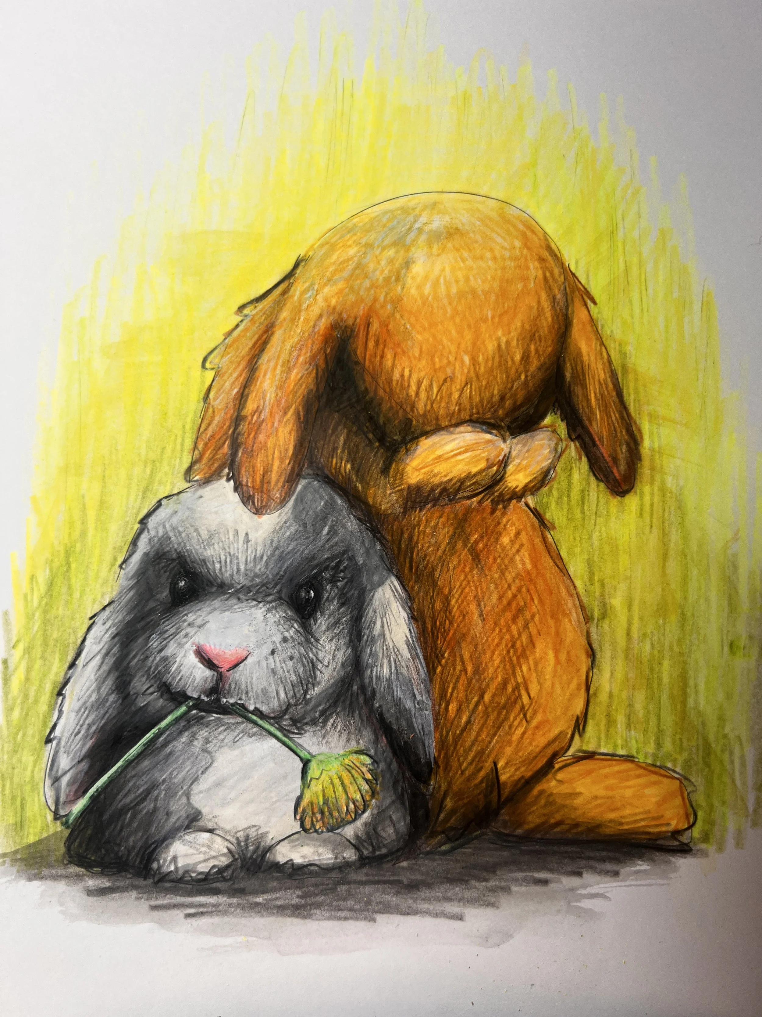 FRIENDS/ COLOURED PENCILS AND ACRYLIC INC/ FREE WORK