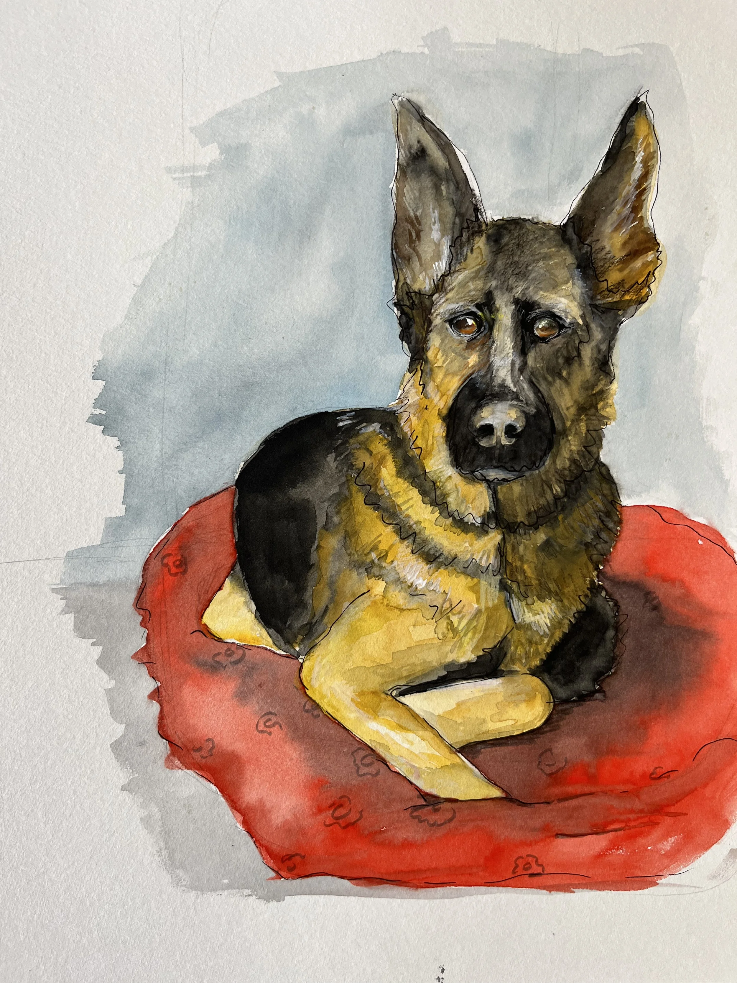 A watercolor painting of a German Shepherd dog lying on a red cushion for https://liliomverlag.de/Buch/Geheimnisgeschichten-9-neuntes-Buch-9783966060301.html