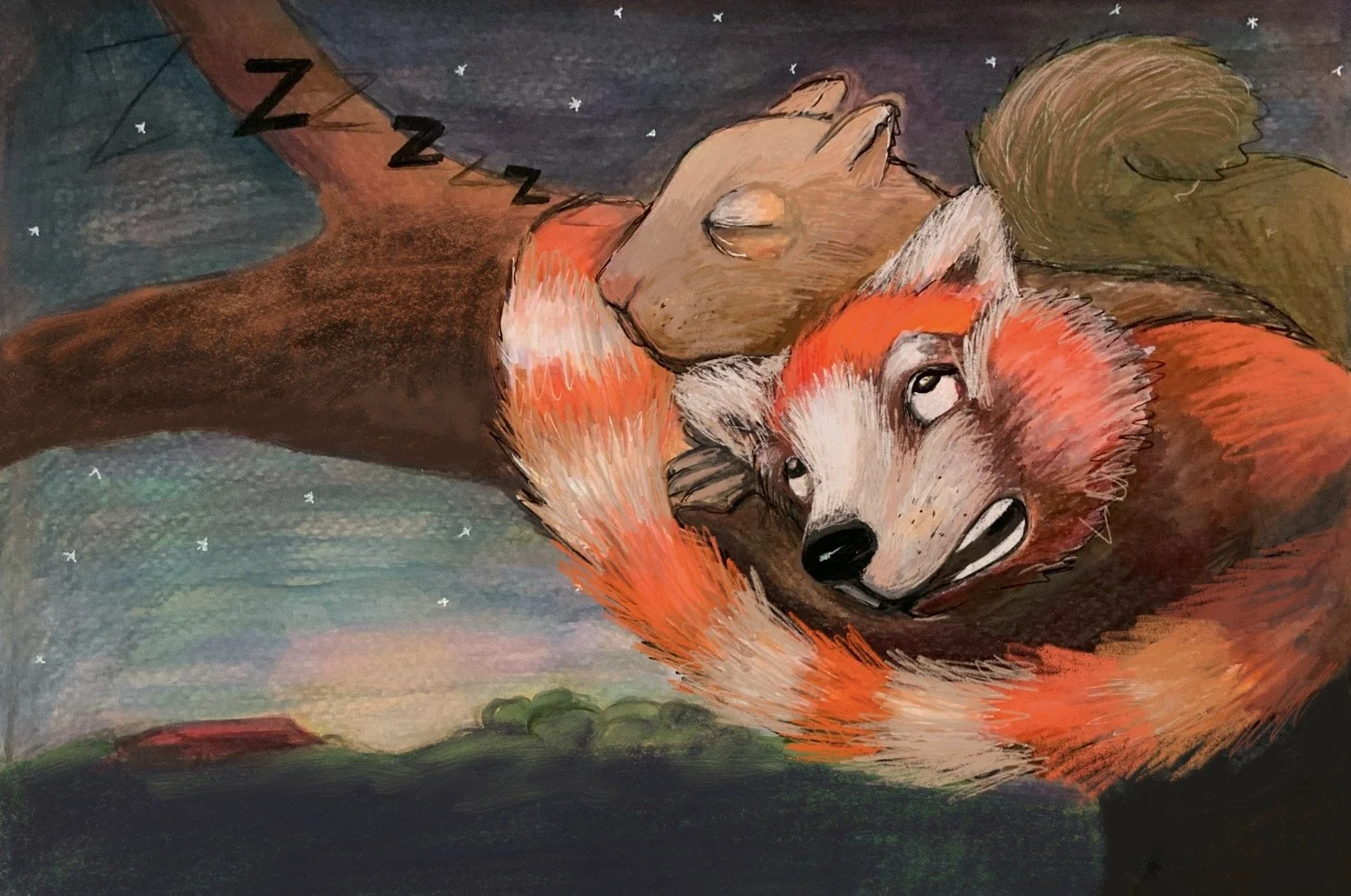 Red Panda and Squirrel sleepover