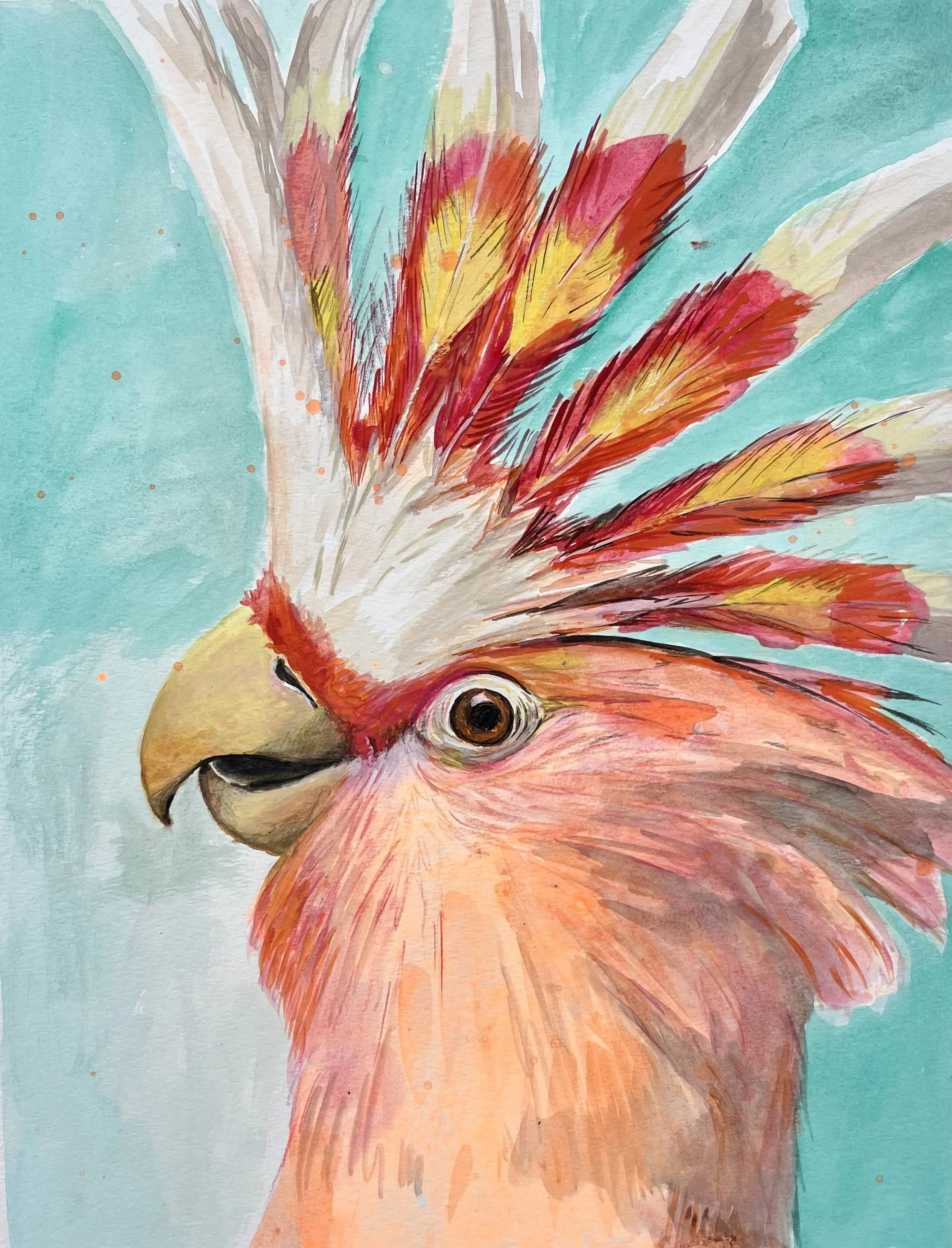 Cacadu / gouache / free work