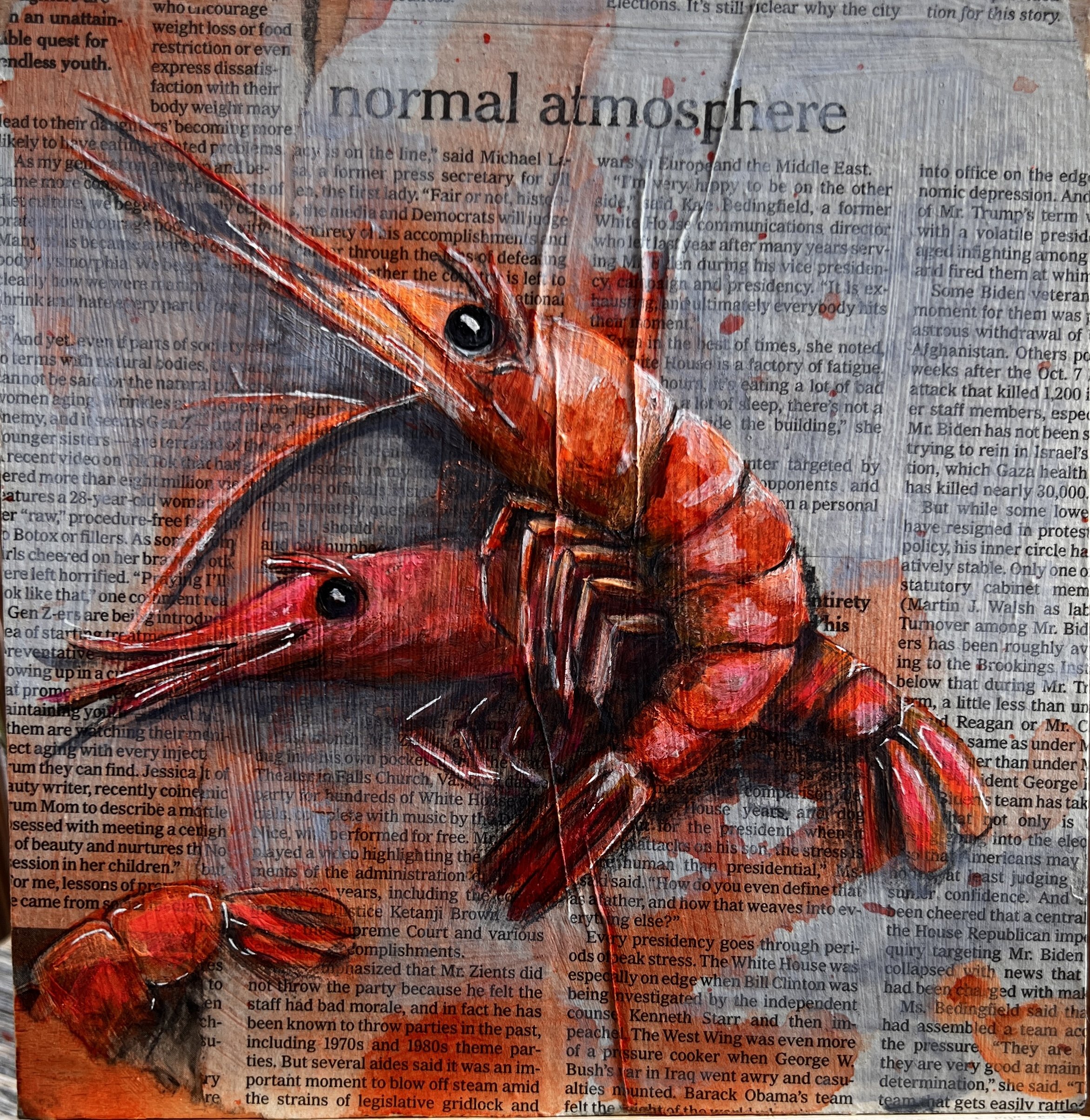 Shrimpley the Best / Acrylics on wood panel (newspaper-mounted) / 20x20cm / 2026