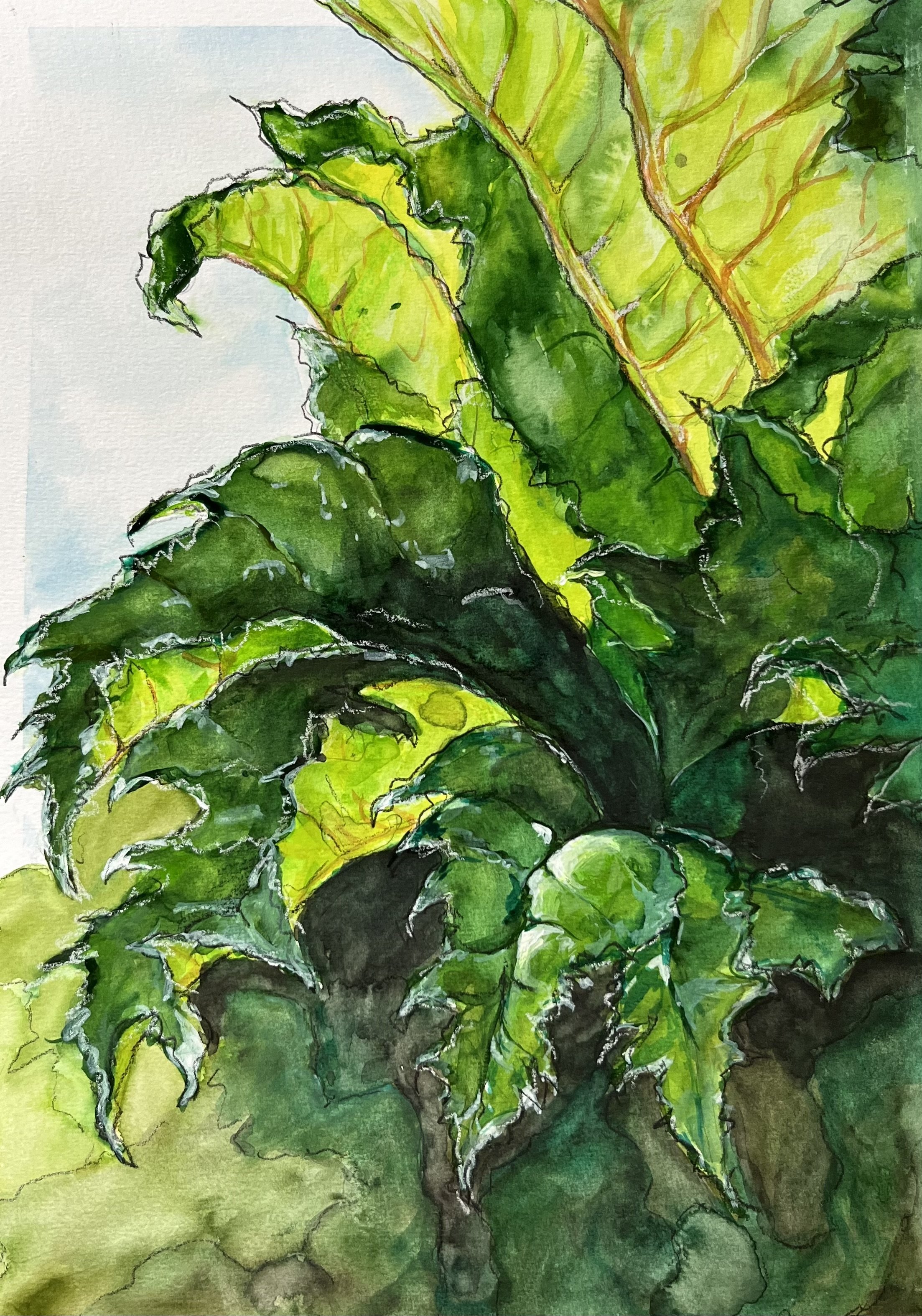 LEAVES / watercolour on paper / 29x21cm / 2024