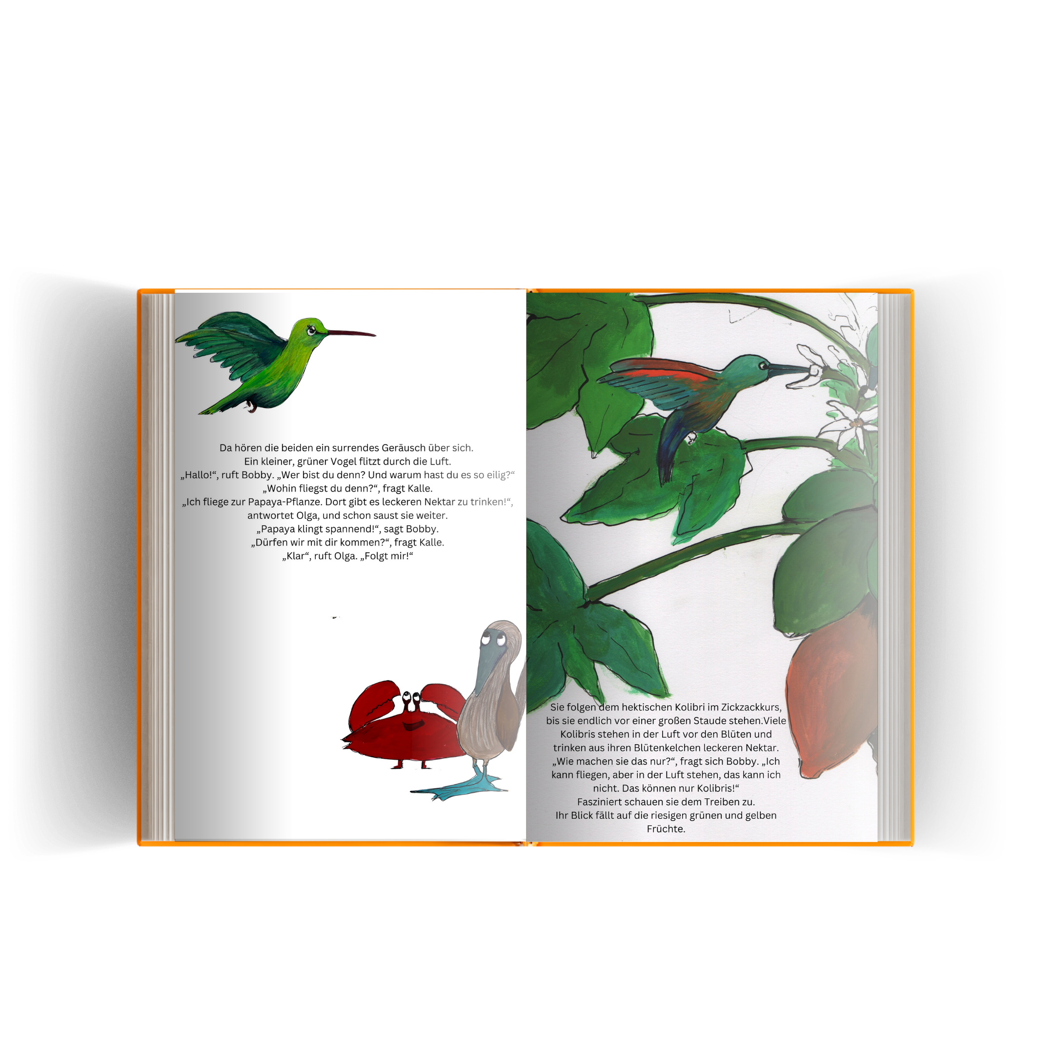 Auszug aus dem Bobbybuch S8,S9