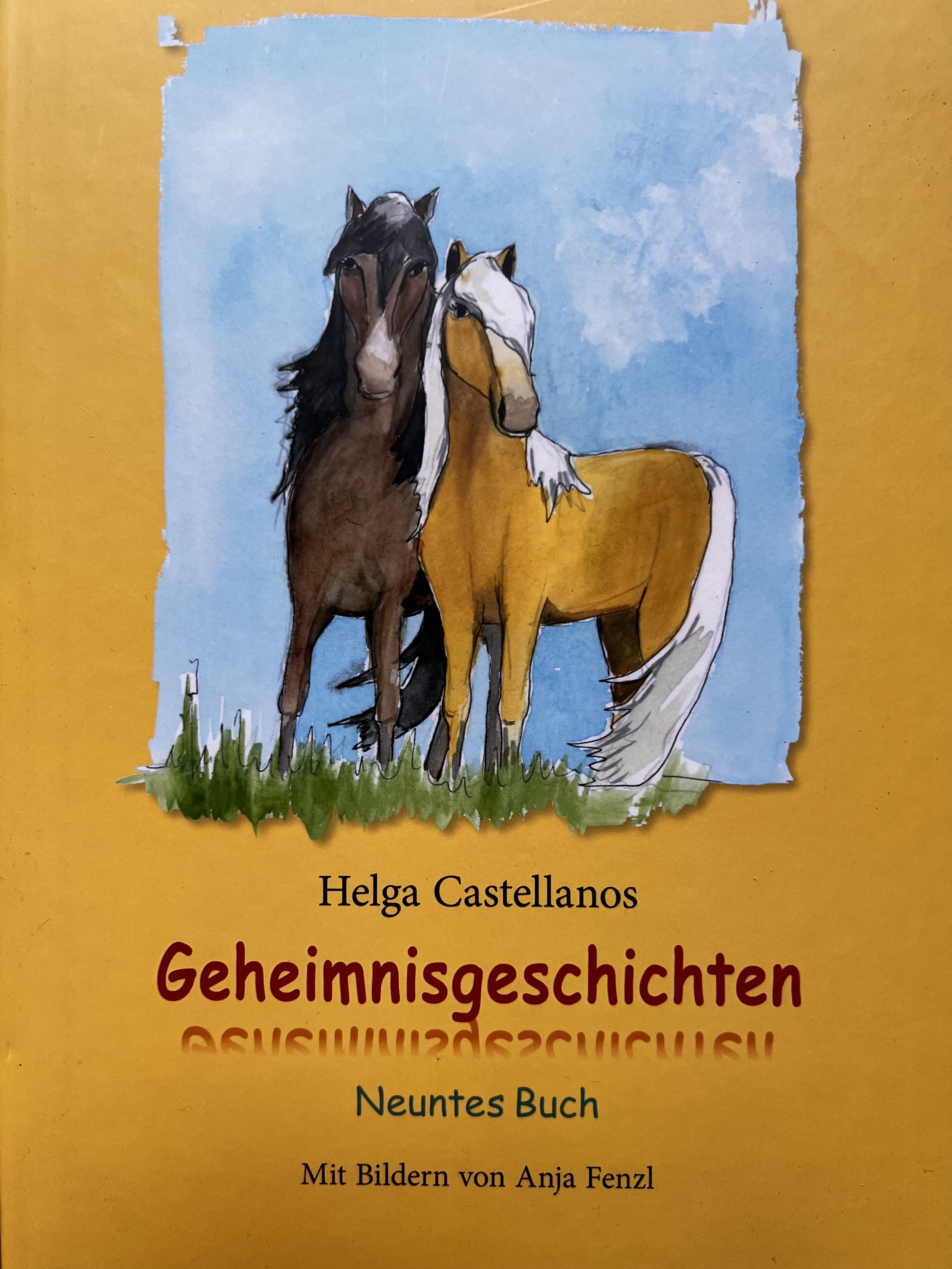 Ein Buchcover mit einer Zeichnung von zwei Pferden auf grünem Gras vor blauem Himmel, darunter der Titel 'Geheimnisgeschichten', der Autorin Helga Castellanos und einem Hinweis auf Bilder von Anja Fenzl/Reithmann.