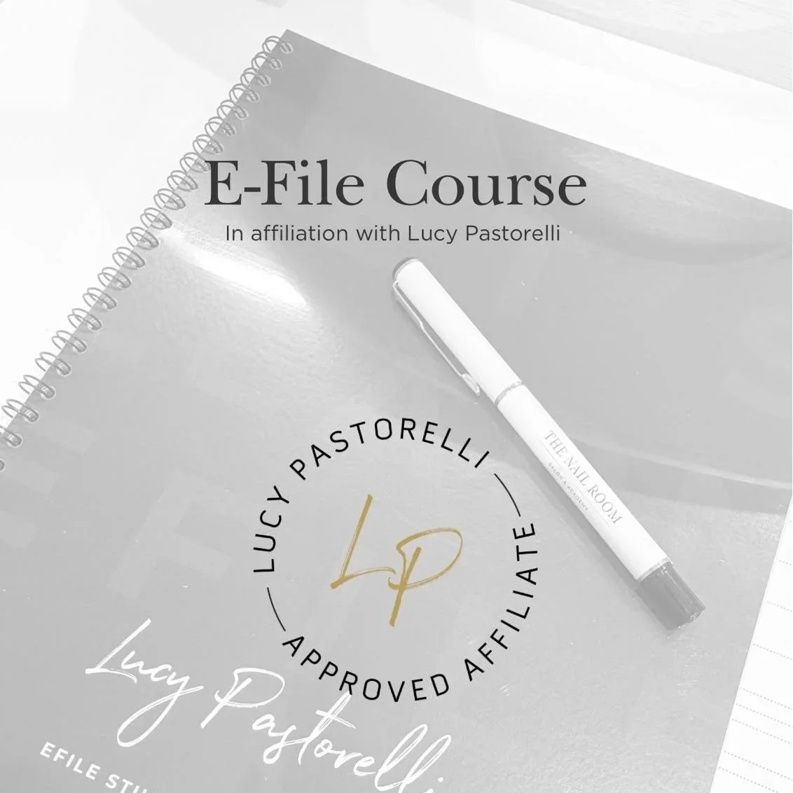 Lucy Pastorelli E-File Course