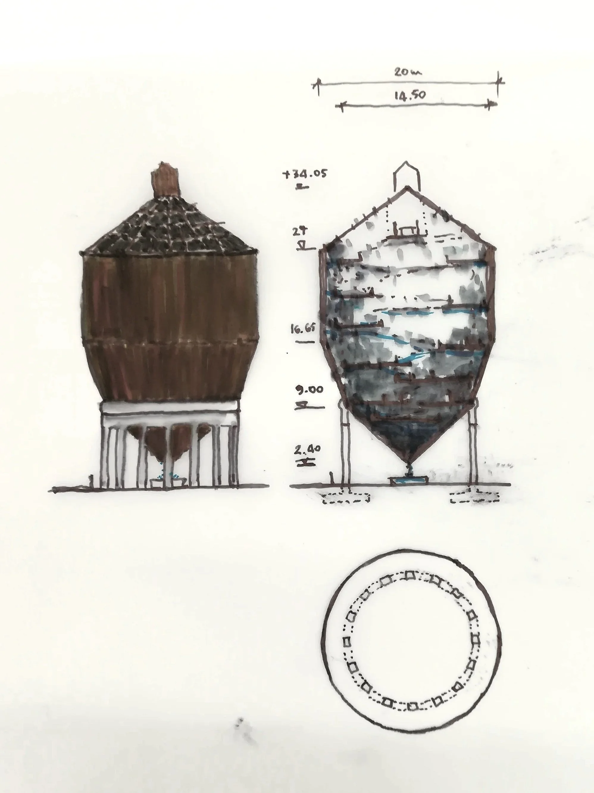 caring nature, humans, culture