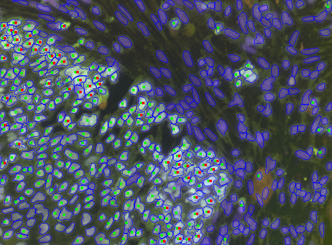 Applications overview: where developmental and stem cell science is applied today