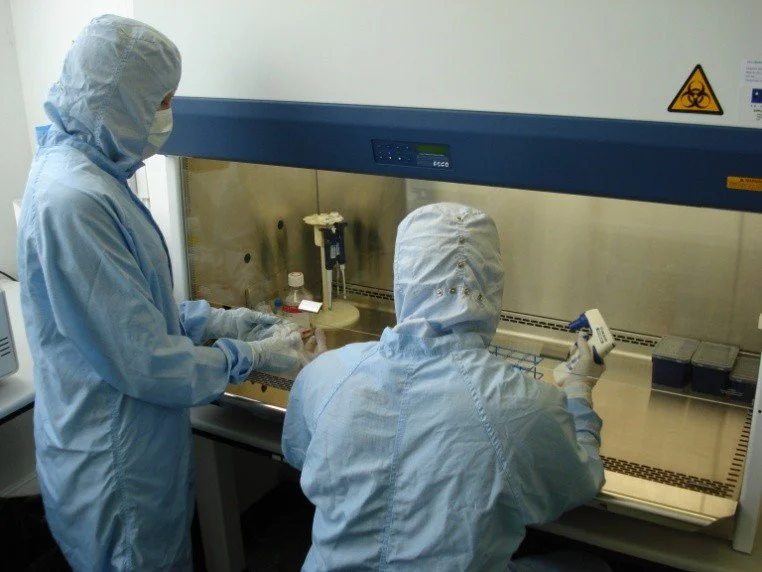 GMP and Quality by Design: what regulated manufacturing actually requires