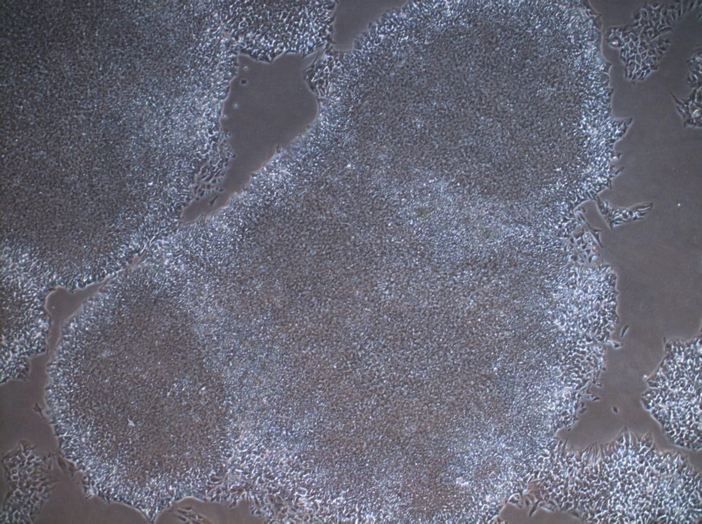 Reproducibility as a commercial problem, not just a scientific one