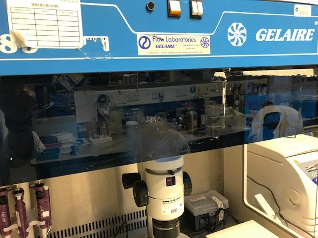 Product-market fit in stem cell TechBio: building for workflows, not for papers
