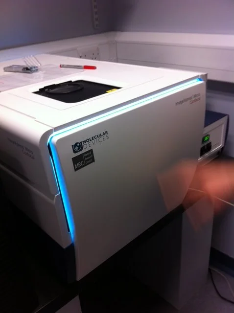 Positioning your TechBio product in developmental and stem cell science