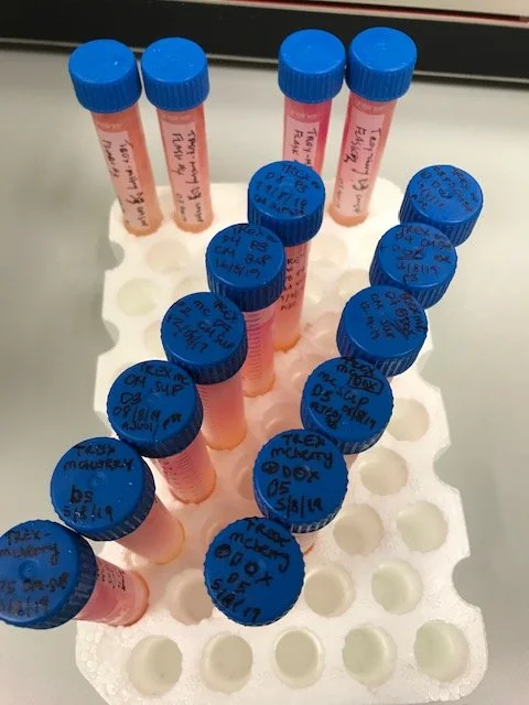 How to identify which stem cell workflows your product actually serves