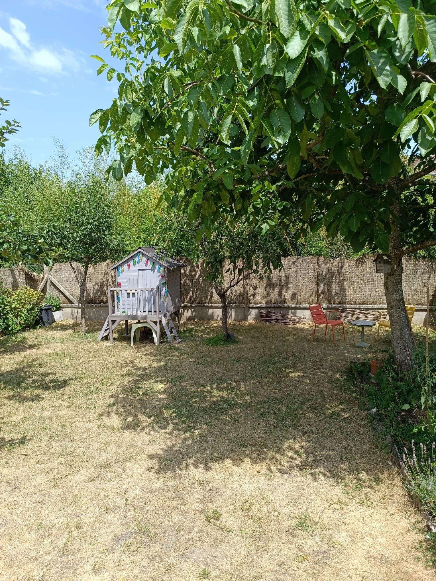 Pelouse abîmée après l’été : comment la remettre en état ?