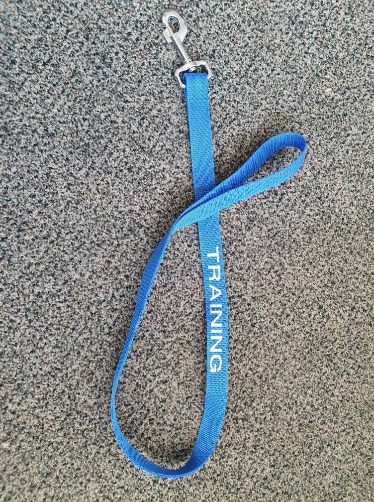 A blue training leash with a metal clip lying on a textured gray carpet.