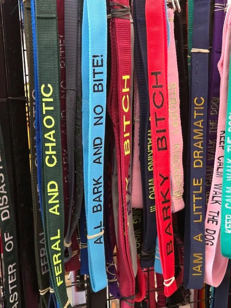 Collar dog leashes with various colors and embroidered names and phrases on them, hanging on a display rack.