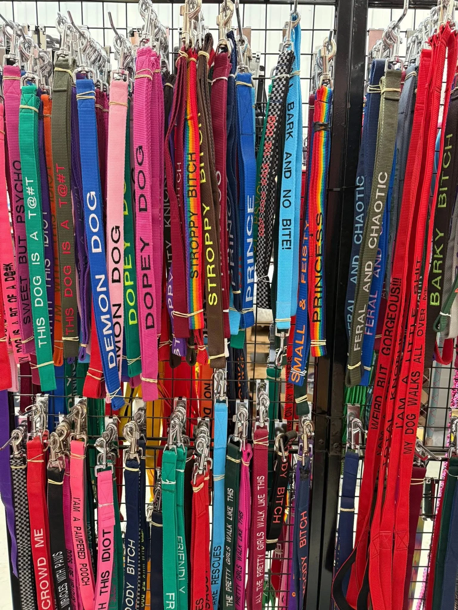 Colorful dog collars hanging on a display rack, each with humorous or inspirational phrases.