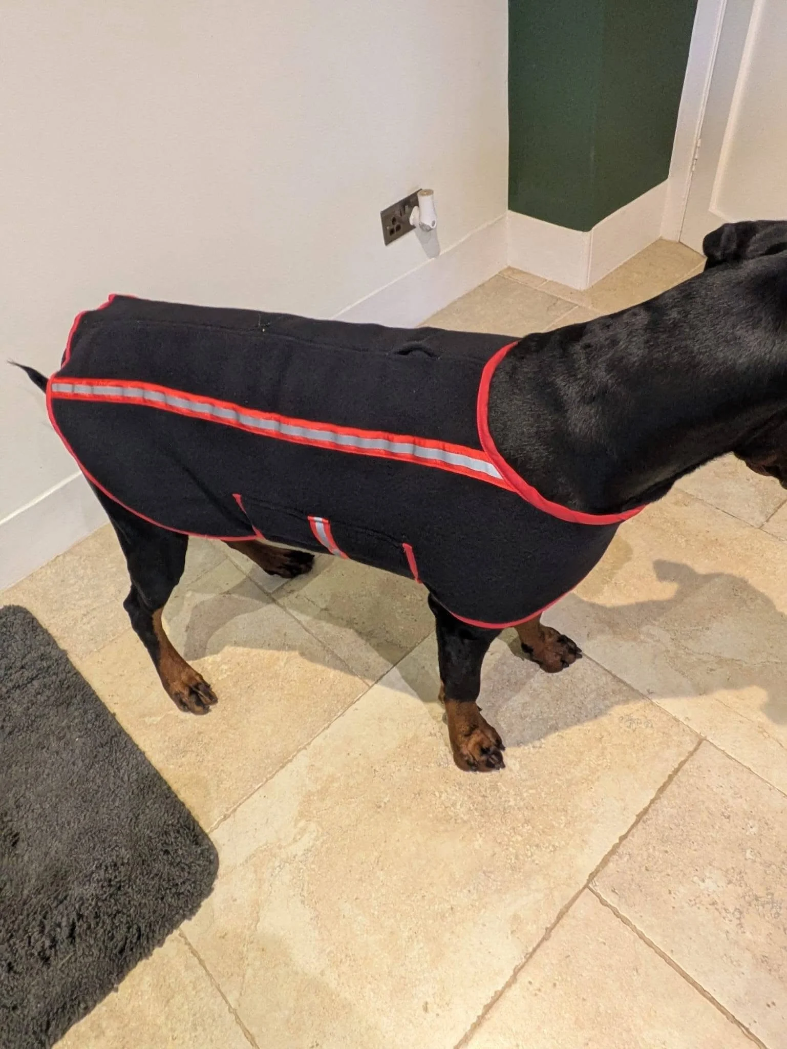 A black and tan dog wearing a black coat with red trim and reflective stripes, standing on beige tiled floor near a wall with electrical outlets.