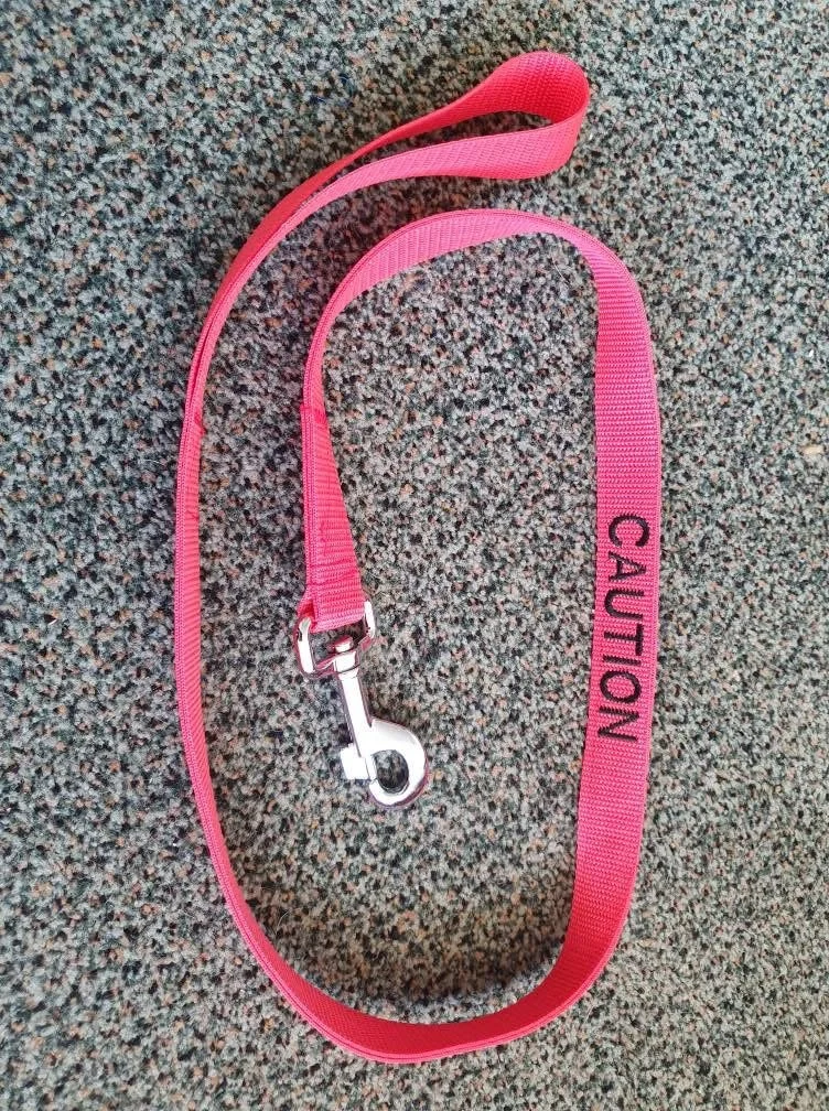 Pink caution lanyard with metal clip, lying on patterned carpet.
