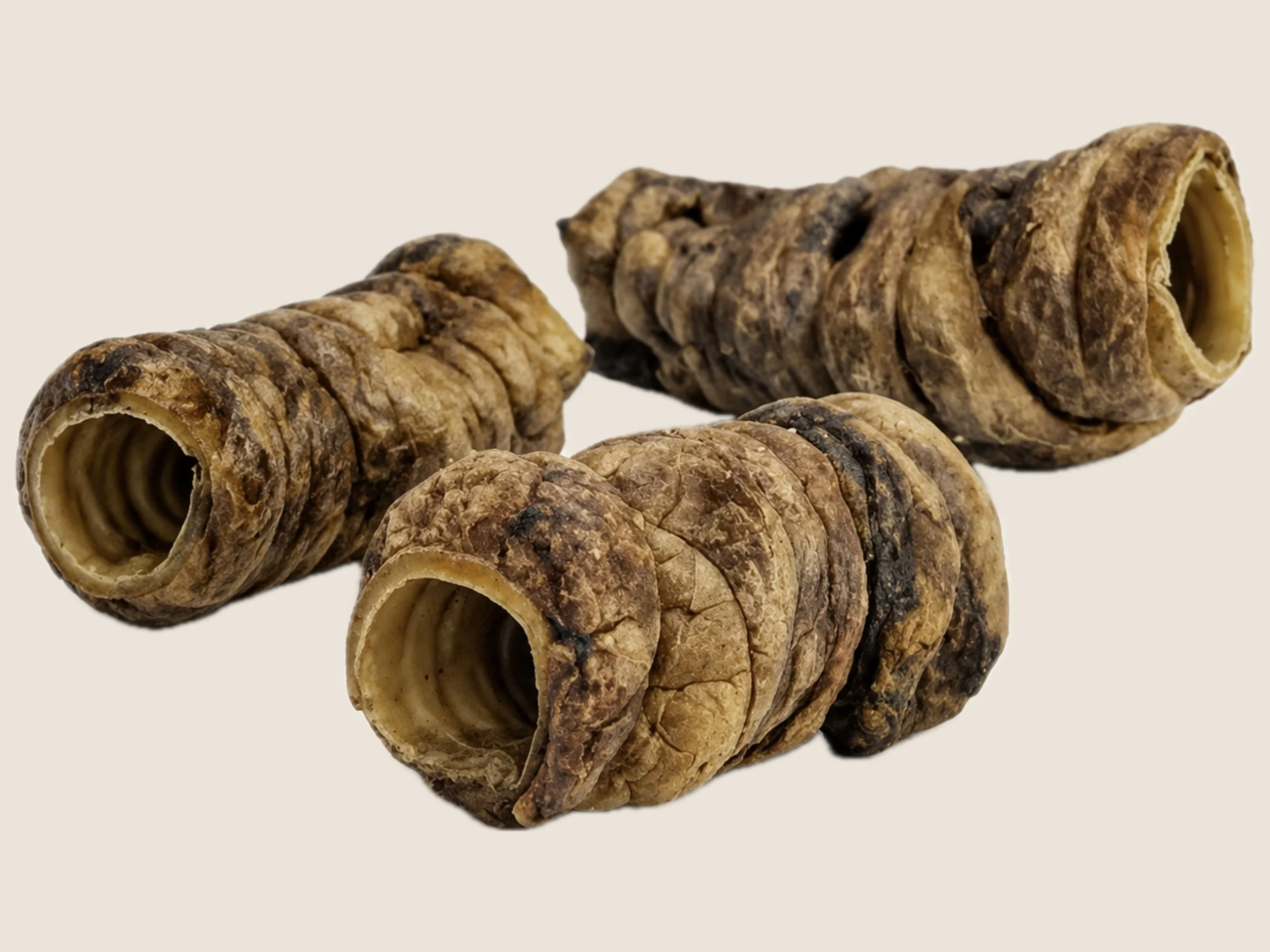 Buffalo Trachea