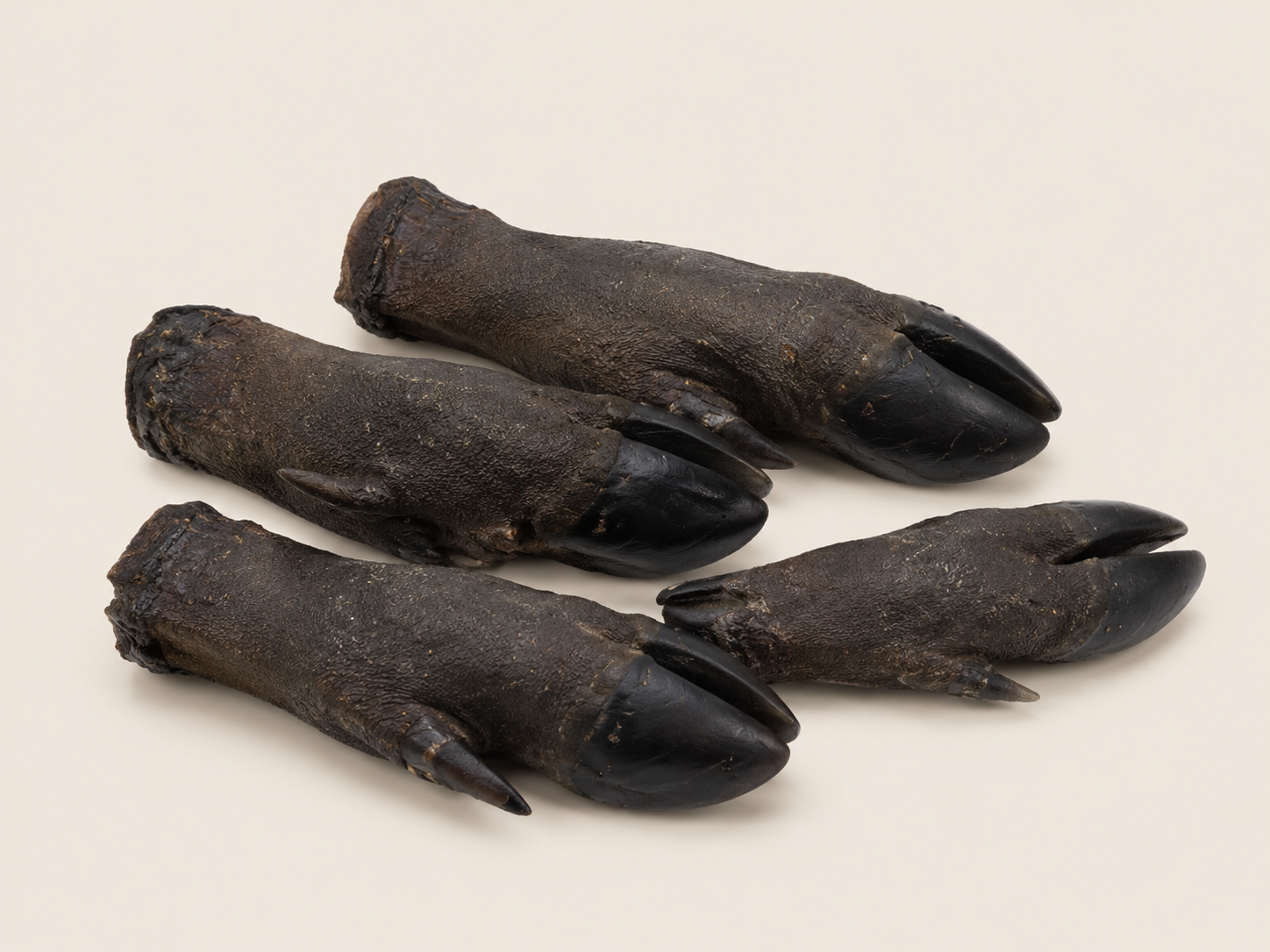 Wild Boar Legs
