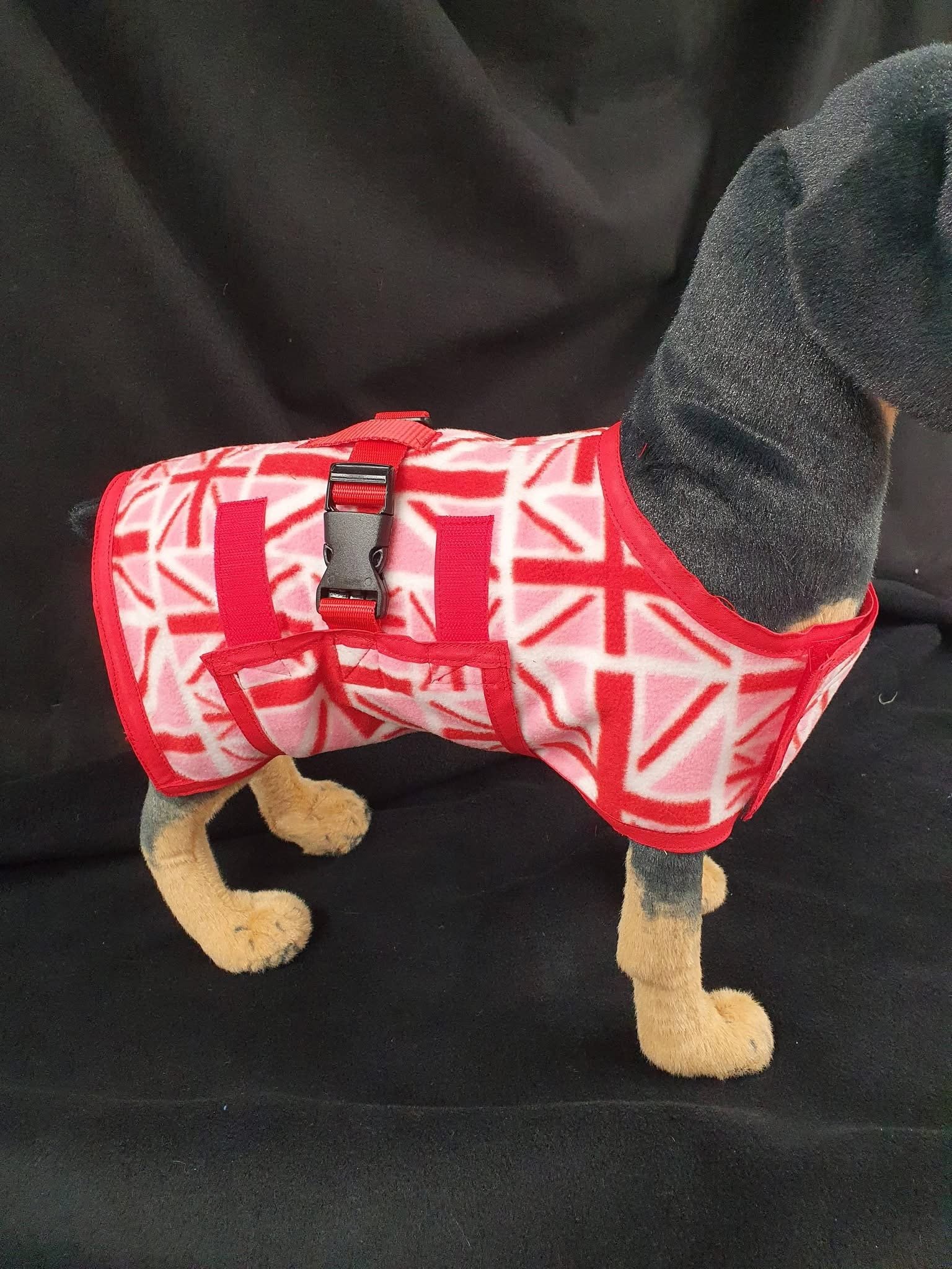 A small dog wearing a red and white patterned harness or vest with a black buckle, standing on a black surface.