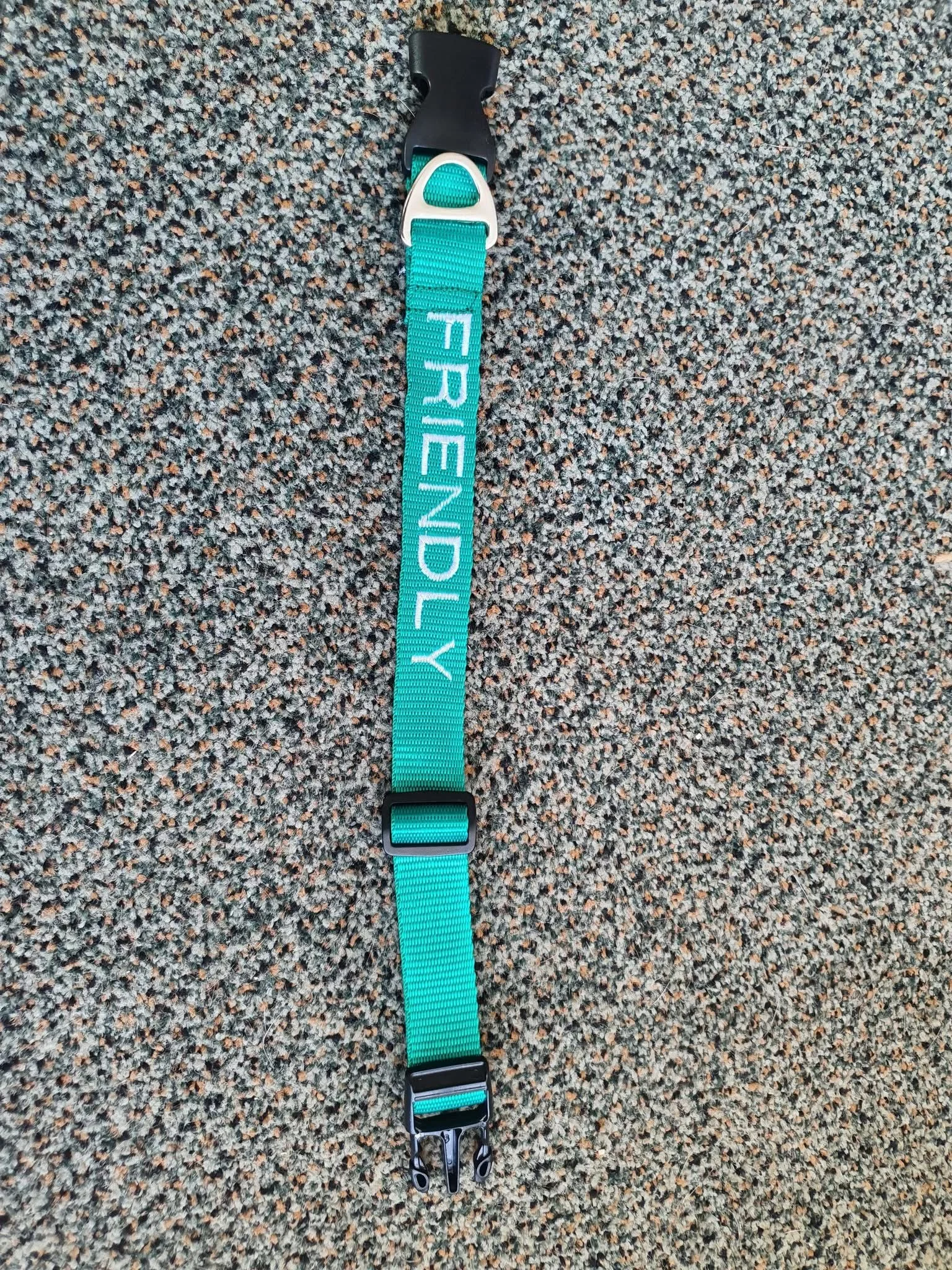 A teal-colored dog collar with the word 'FRIENDLY' embroidered in white, placed on a textured carpet.