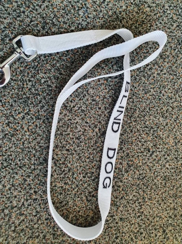 A white dog leash with a silver clasp lies on a speckled carpet.