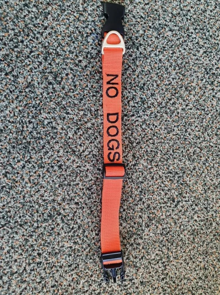 Orange dog leash with black text reading 'NO DOGS' lying on a gray textured carpet.