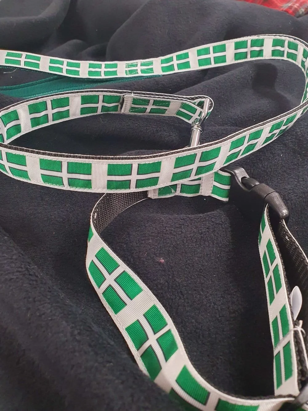 Devon Lead & Collar set