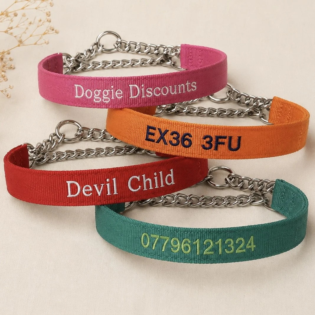 Four colorful dog collars with text and numbers, arranged on a cream-colored surface with some dried flowers in the background.