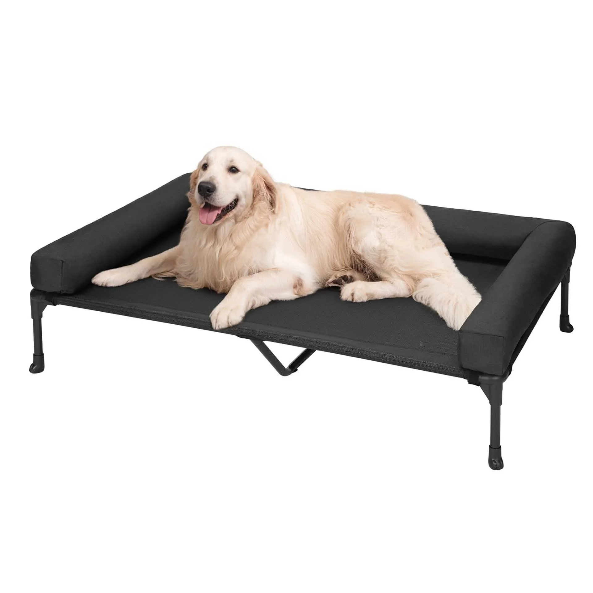 Golden retriever dog lying on a black elevated dog bed with a bolster cushion, against a white background.
