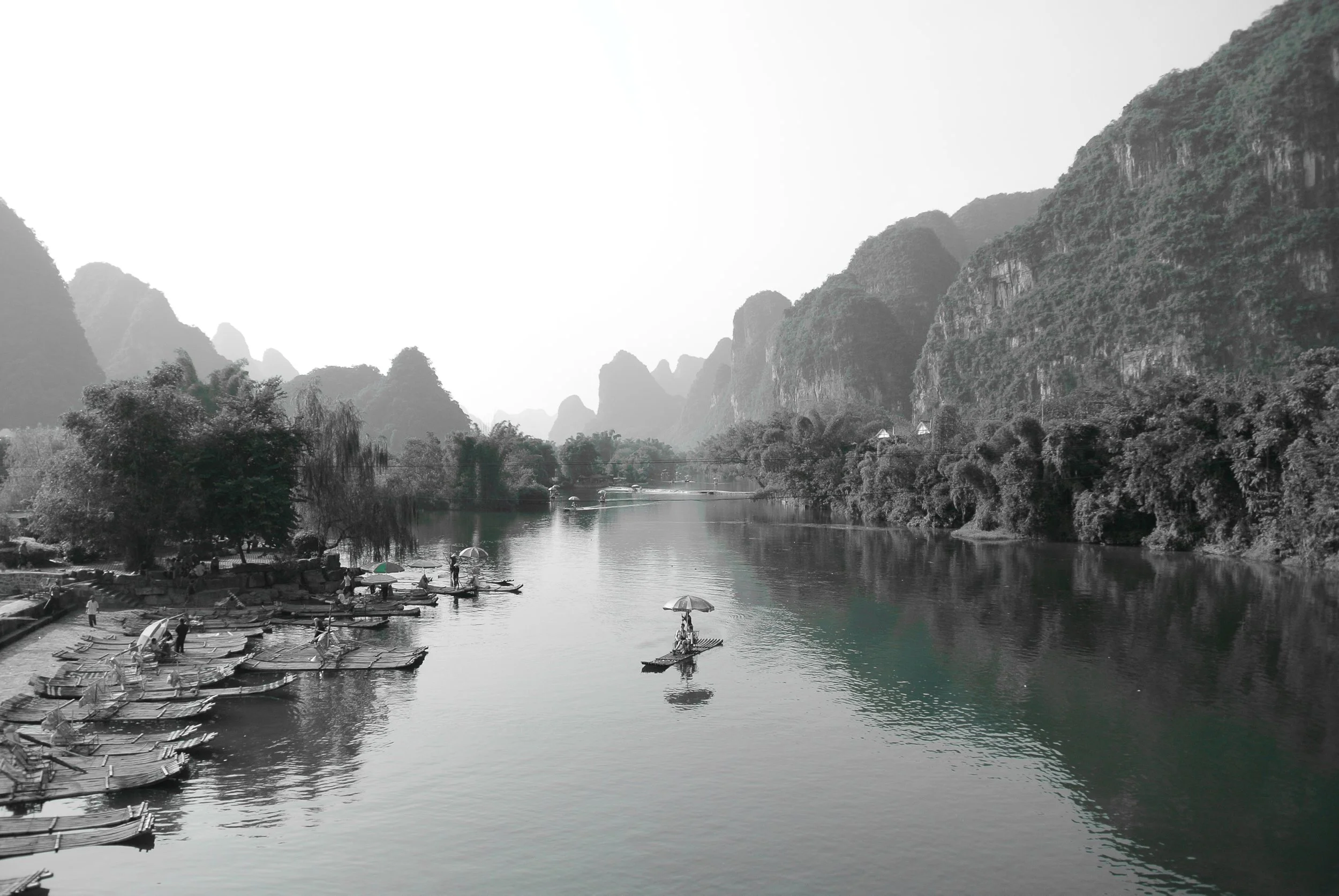 Fractional Marketing Expert