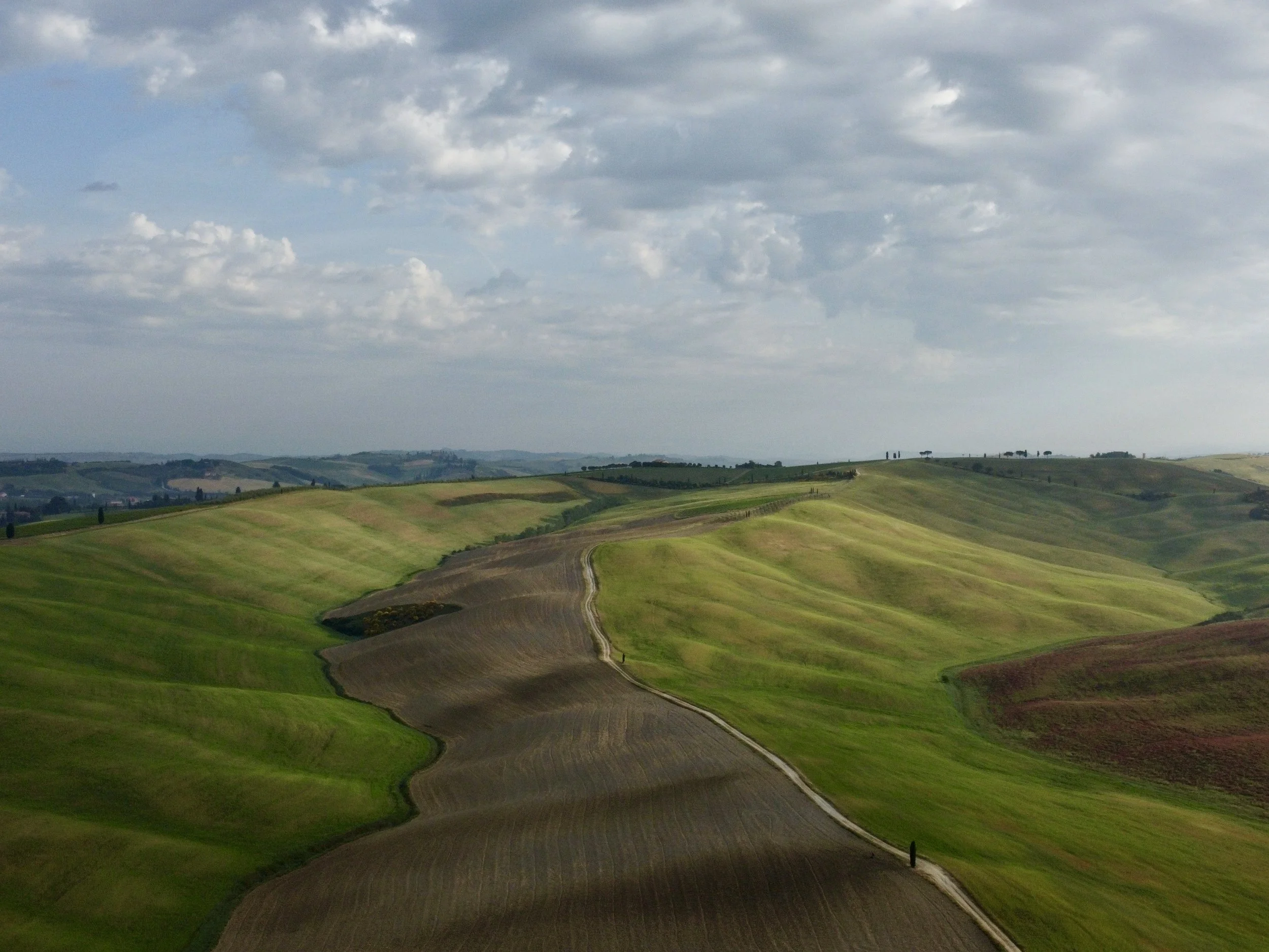 Rolling green hills with cultivated farmland patches and a dirt road winding through the landscape under a partly cloudy sky.